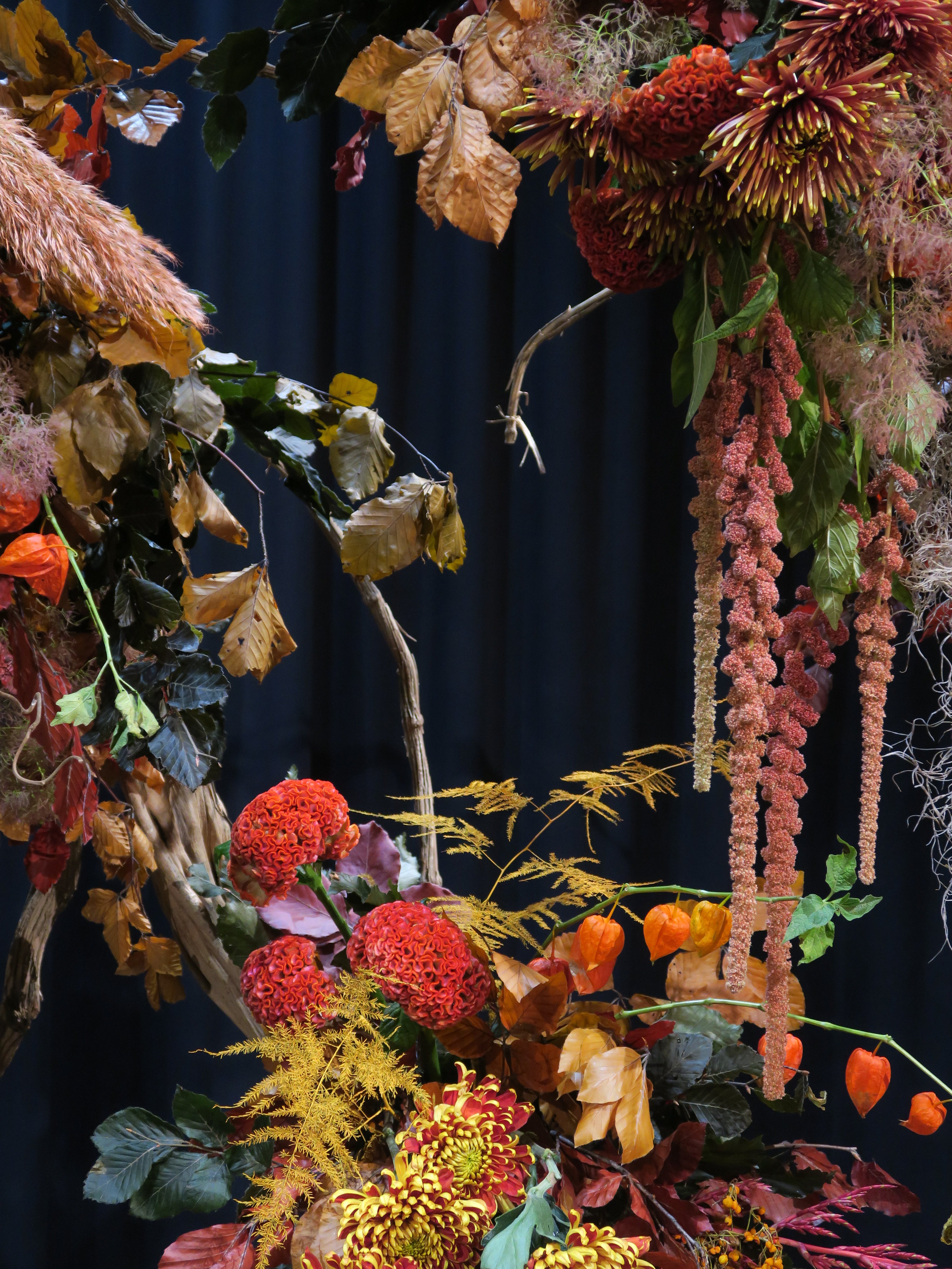 Autumnal Abundance Workshop