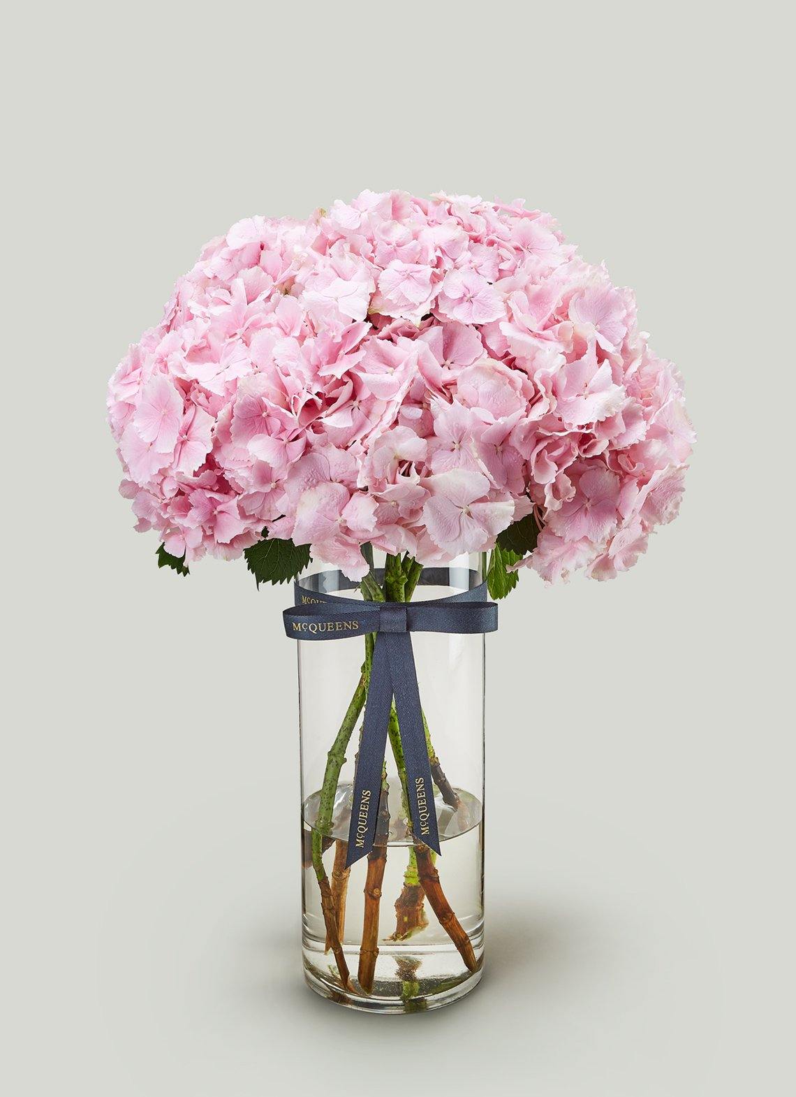 Rosa - McQueens Flowers