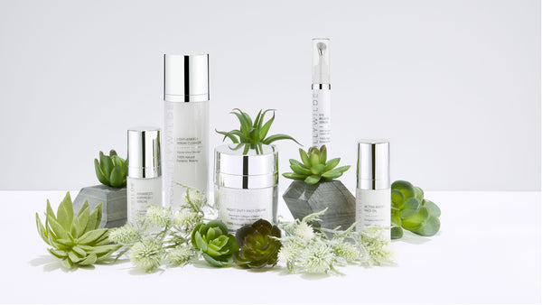 SPOTLIGHT ON: SUSIE WILLIS, FOUNDER OF ROMILLY WILDE