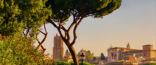 McQueens Flower School in Rome