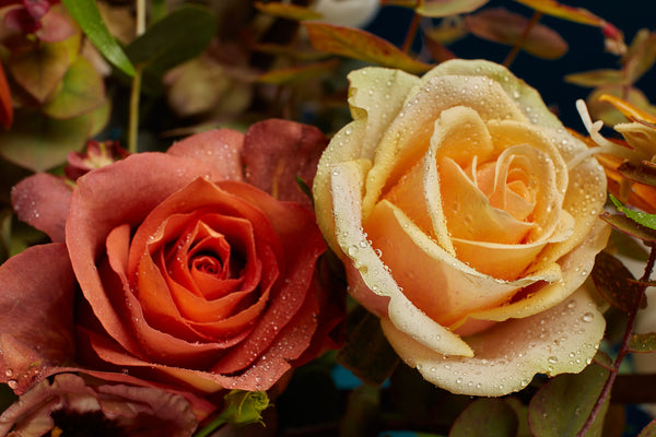 THE SEASONAL SERIES WITH THE COURTAULD - McQueens Flowers