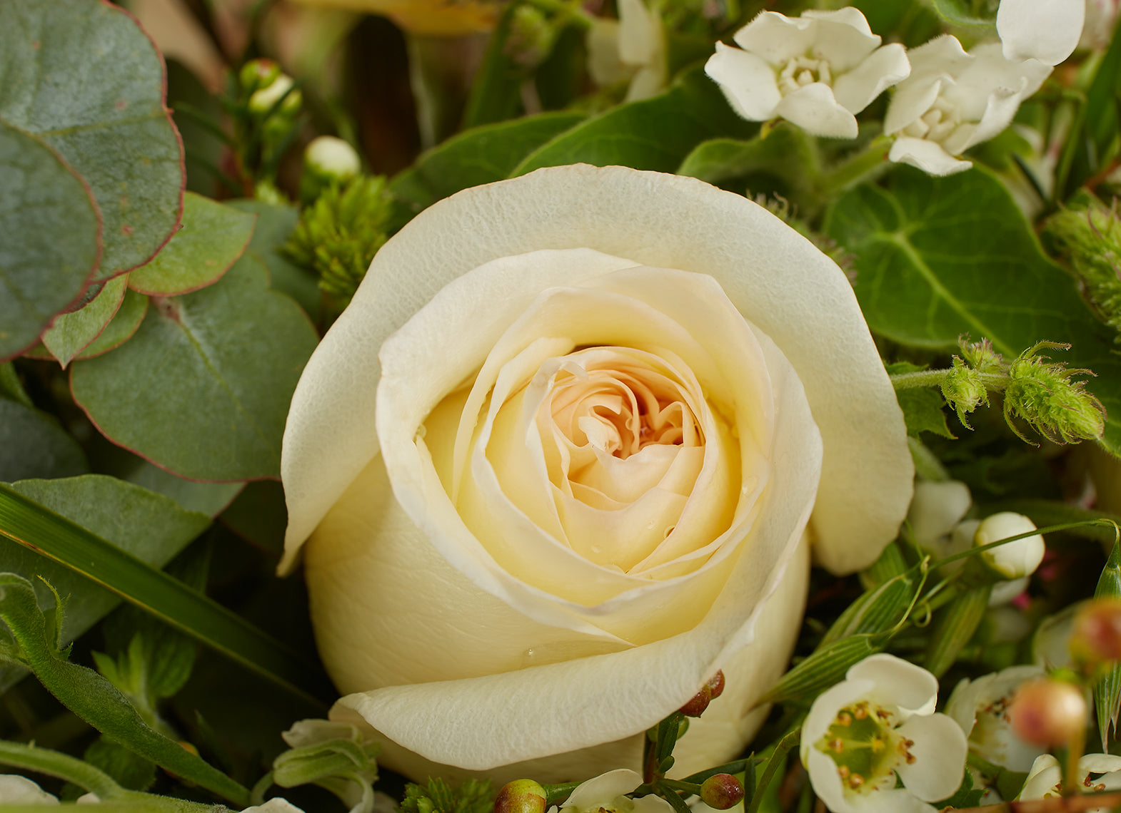 WEDDING FLOWERS TOP TIPS FROM OUR EXPERTS