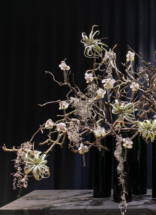 1 Day Botanical Sculpture Workshop