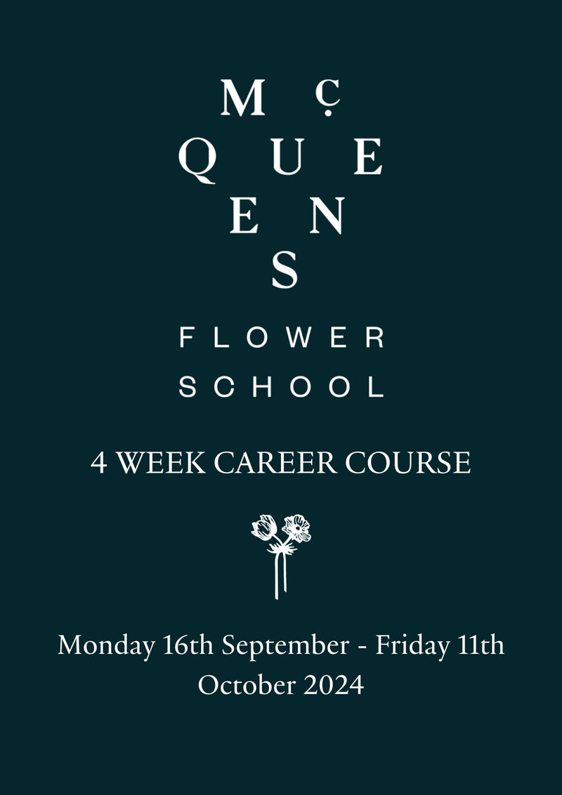Career Course Monday 16 September 2024 - Friday 11 October 2024