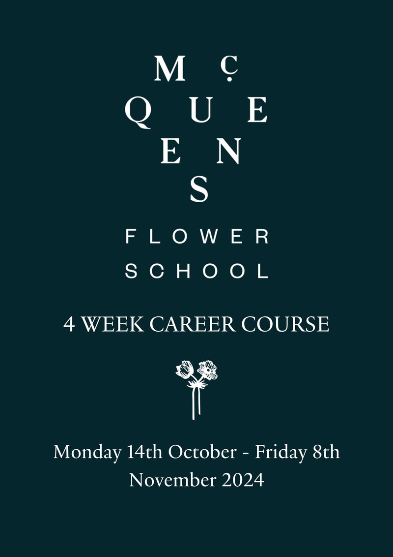 Career Course Monday 14 October 2024 - Friday 08 November 2024