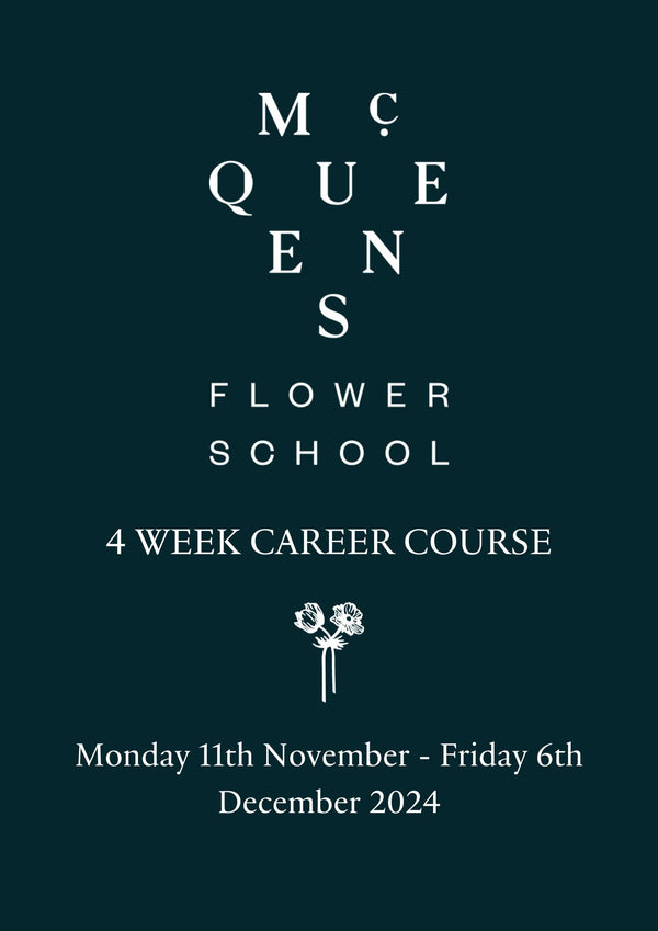 Career Course Monday 11 November 2024 - Friday 06 December 2024