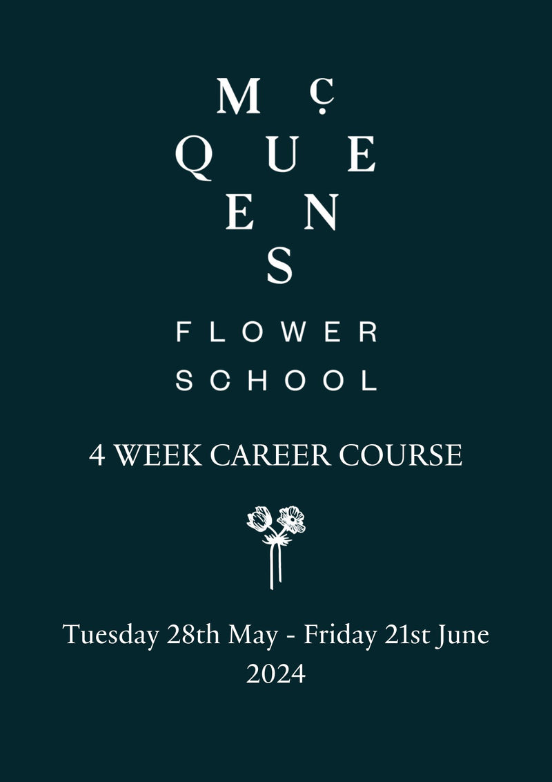 Career Course Tuesday 28 May 2024 - Friday 21 June 2024