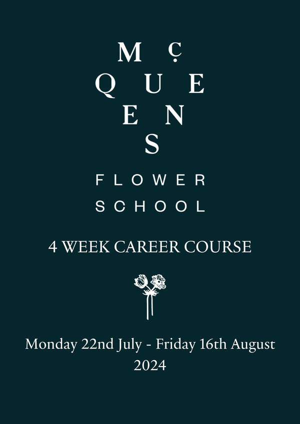 Career Course Monday 22 July 2024 - Friday 16 August 2024