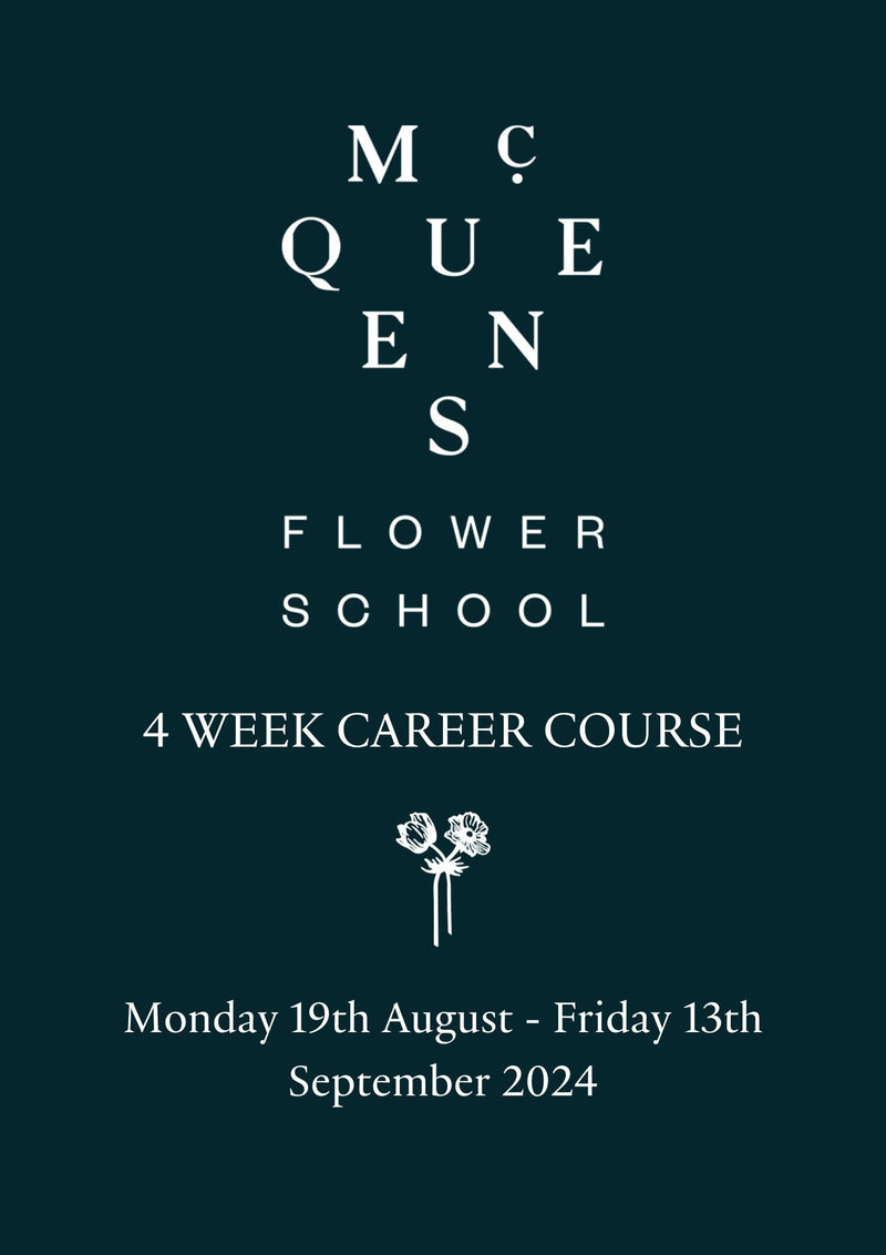 Career Course Monday 19 August 2024 - Friday 13 September 2024