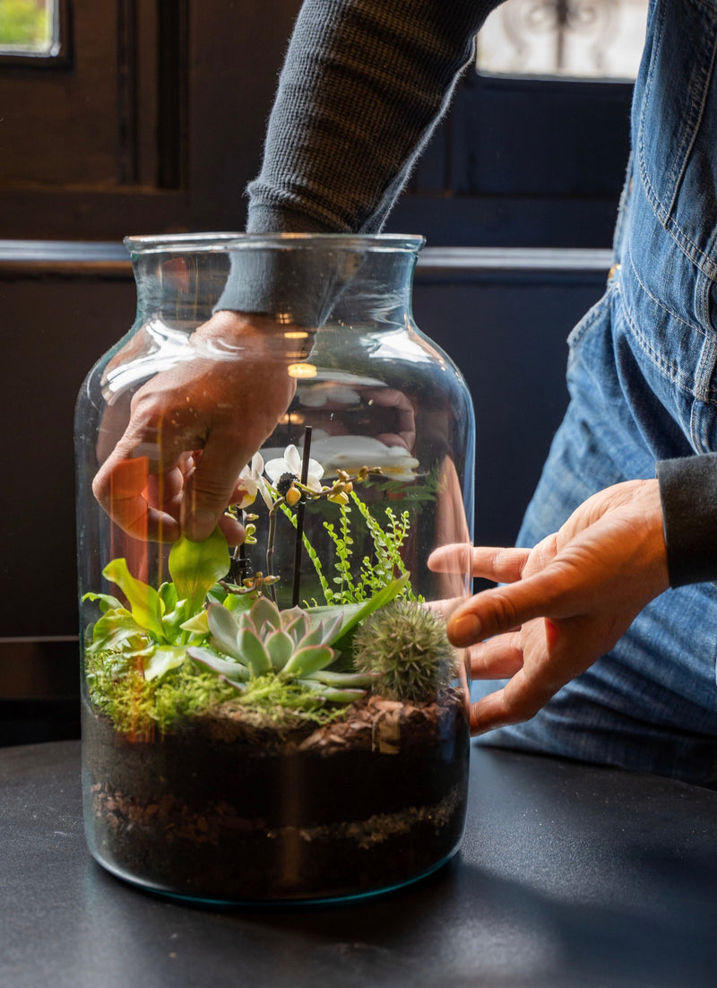 1/2 day Terrarium Workshop 2024