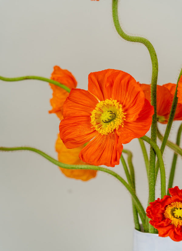 Martha Freud Vase - Icelandic Poppies
