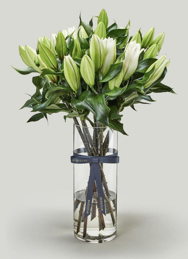 Paragon Lilies