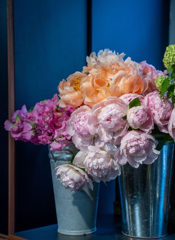 1 day British Flowers Workshop 2024