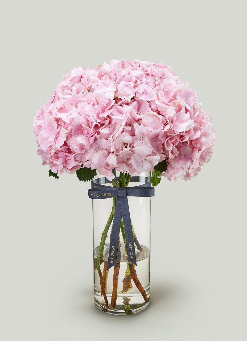 Rosa - McQueens Flowers