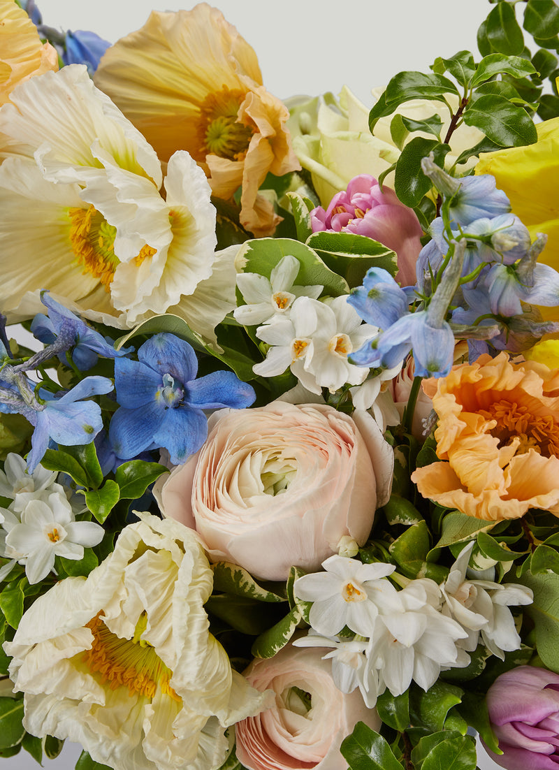 Colette Bouquet