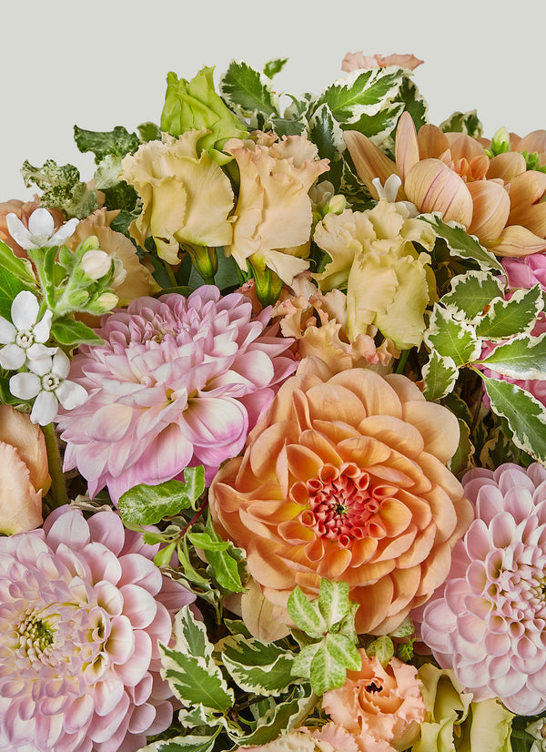 Selene Bouquet
