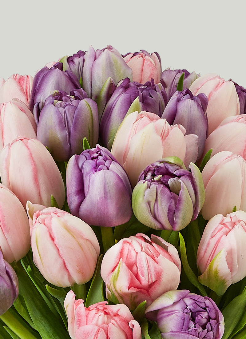 Daphne Bouquet