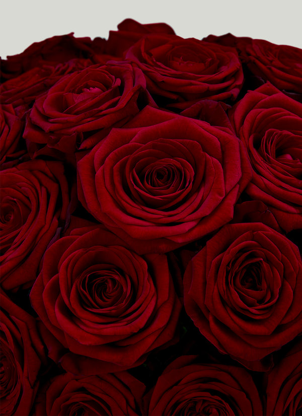 Amour Bouquet