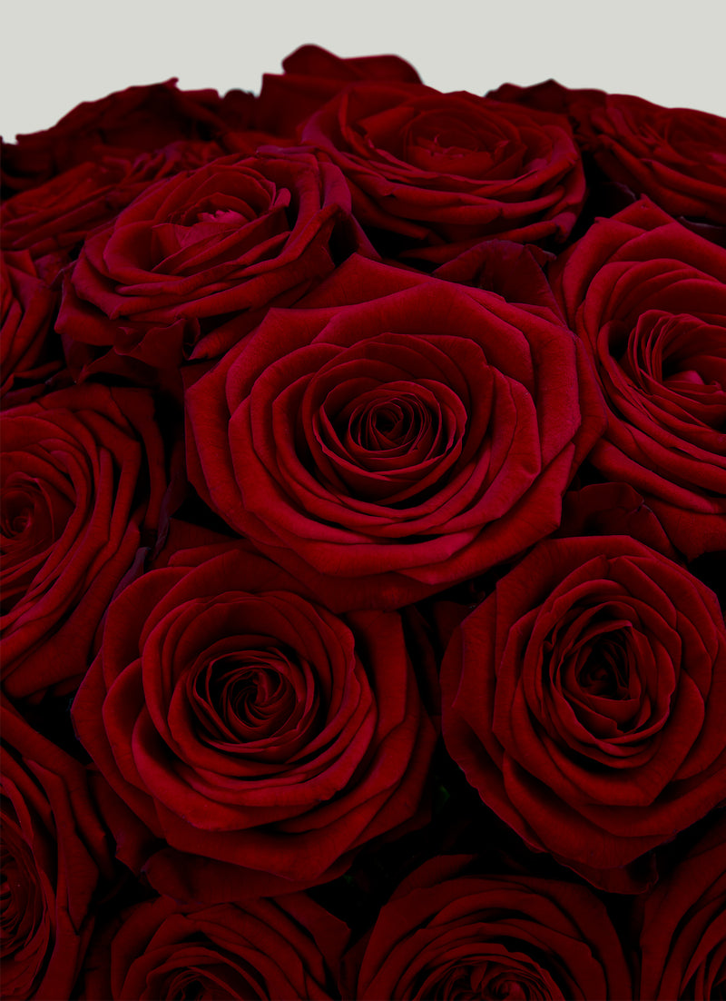 Amour Bouquet